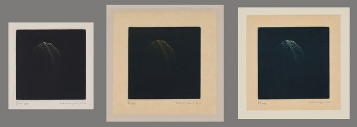Yozo Hamaguchi Color Mezzotints - Set of Walnuts
