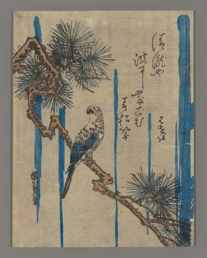 Ando Hiroshige Woodblock - Parrot on a Pine Branch (1 of 2)