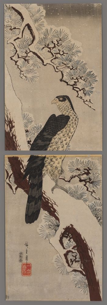 Hiroshige Woodblock - Falcon on Snow-covered Pine: Artist: Hiroshige, Ando, 1797-1858 Title: Falcon on Snow-covered Pine Date: 1840-42 Medium: Japanese woodblock print Image Size: 29 1/8 x 9 3/4 inches Notes: Dimensions