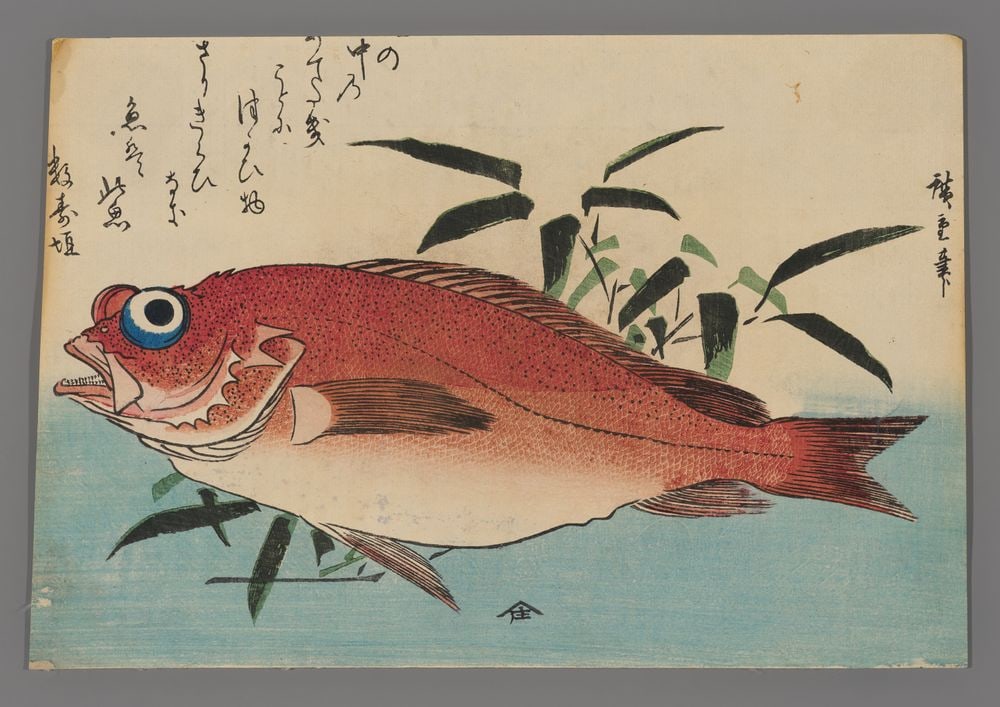 Ando Hiroshige Woodblock - Sea Bream and Grass: Artist: Hiroshige, Ando, 1797-1858 Title: Goggle-eyed Sea Bream and Bamboo Grass Date: 1840-42 Medium: Japanese woodblock print Image Size: 9 3/8 x 13 3/8 inches Notes: