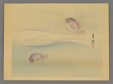 Ogata Gekko Woodblock - Red Sea Bream