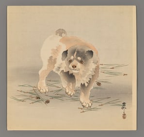 Ohara Koson Woodblock - Puppy Walking on Pine Needles