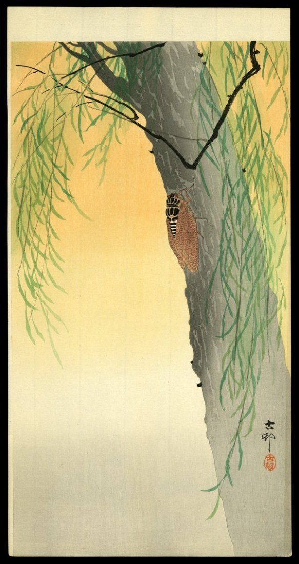 Ohara Koson Woodblock: Title: Cicada on the Trunk of a Willow Tree Artist: Koson, Ohara, 1877-1945 Date: c. 1910 Medium: woodblock Dimensions: