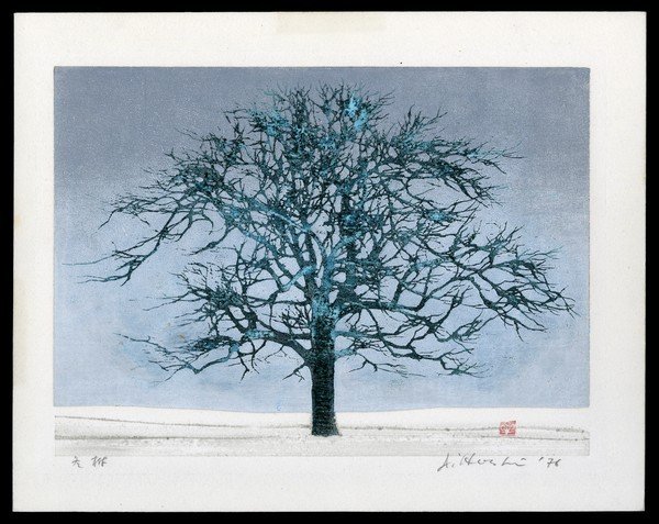 Joichi Hoshi Woodblock: Title: Winter Tree Artist: Hoshi, Joichi, 1913-1979 Series: Unlimited Editon Date: 1976 Medium: woodblock