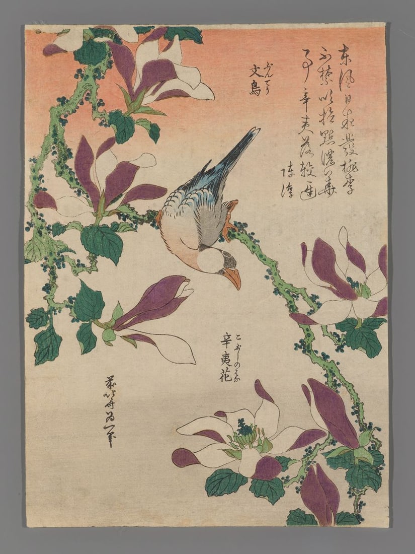 Katsushika Hokusai Woodblock - Java Sparrow on Magnolia (1 of 2)