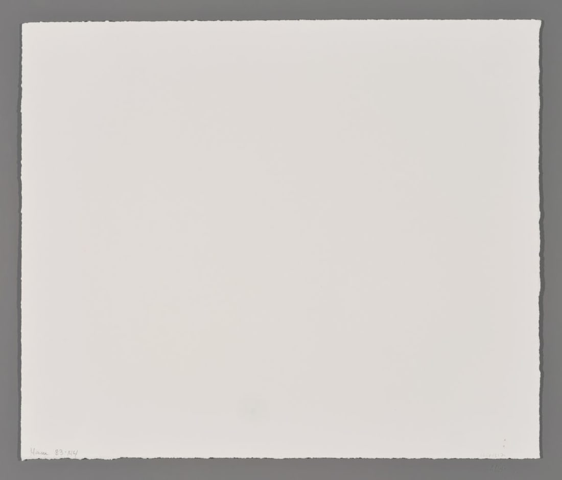 Yozo Hamaguchi Lithograph - Persimmon - 2