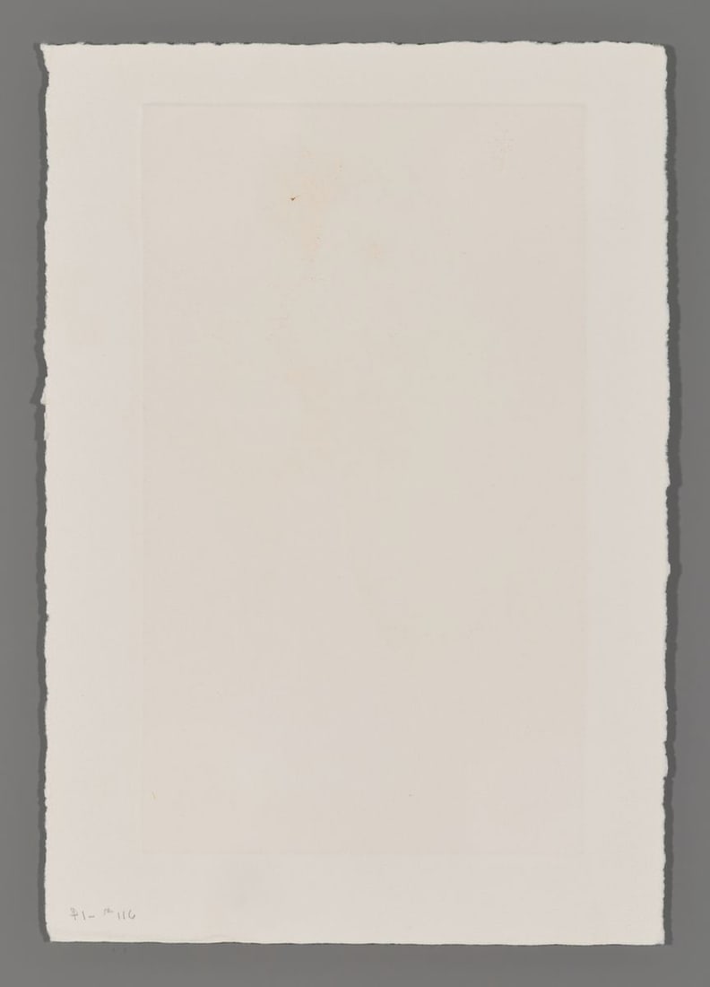 Mari Ushiku Etching - anemone - 2