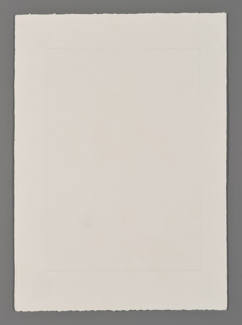 Mari Ushiku Etching - anemone - 2