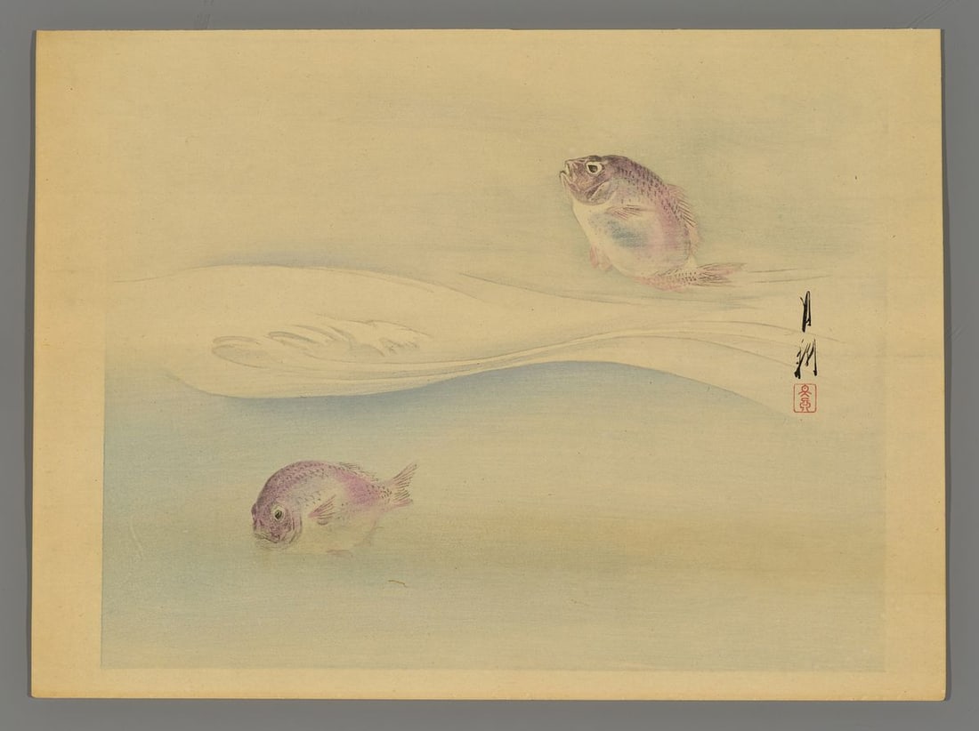Ogata Gekko Woodblock - Red Sea Bream: Artist: Gekko, Ogata, 1859-1920 Title: Red Sea Bream Date: c. 1910 Medium: woodblock Image Size: 9 1/2 x 11 3/4 inches Notes: Mica highlights High resolutio