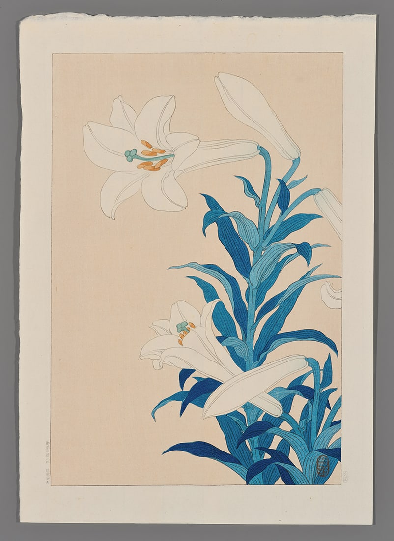 Ohara Hoson Woodblock - White Lily: Artist: Hoson, Ohara, 1877-1945 Title: White Lily Date: c. 1929 Medium: woodblock Image Size: 12 3/4 x 8 5/8 inches Illustrated: CCC, pl. H43.6 Notes: Em