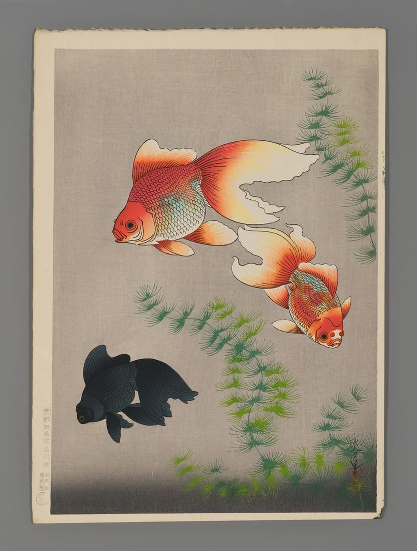 Bakufu Ohno Woodblock - Goldfish: Artist: Ohno, Bakufu, 1888-1976 Title: Goldfish Date: c. 1950s Medium: woodblock Image Size: 15 1/4 x 10 5/8 inches Notes: Published by Kyoto Hanga-in High