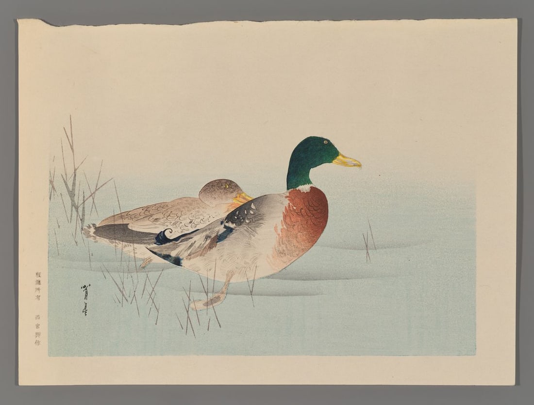Watanabe Seitei Woodblock - Two Mallard Ducks (1 of 2)
