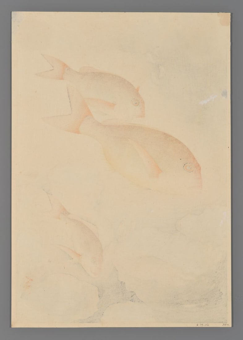 Bakufu Ohno Woodblock - Snapper - 2