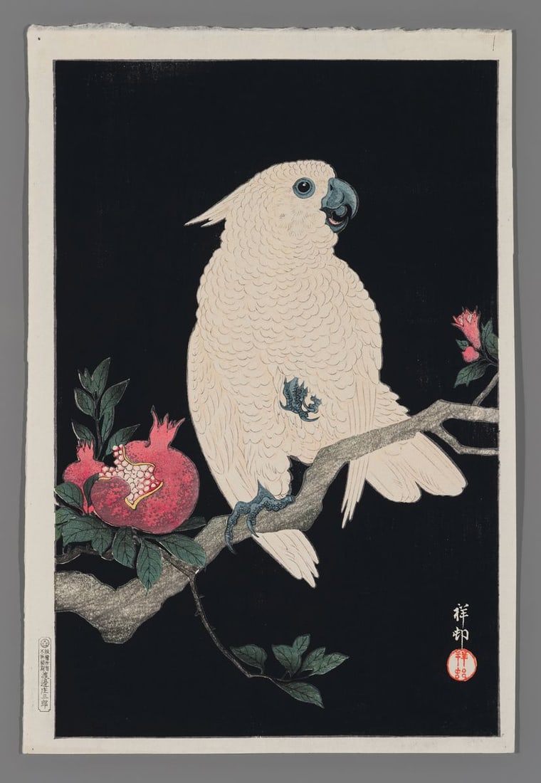 Ohara Shoson Woodblock - Cockatoo and Pomegranate: Artist: Shoson, Ohara, 1877-1945 Title: Cockatoo and Pomegranate Date: 1927 Medium: woodblock Image Size: 14 1/4 x 9 3/8 inches Illustrated: CCC, pl. S36.1 N