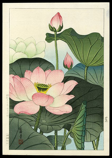 Nishimura Hodo Woodblock: Title: Lotus Artist: Hodo, Nishimura, fl. 1930sDate: c. 1930sMedium: woodblockDi