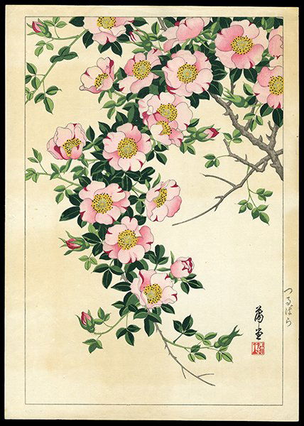 Nishimura Hodo Woodblock: Title: Wild Rose Vine Artist: Hodo, Nishimura, fl. 1930sDate: c. 1930sMedium: woodblock