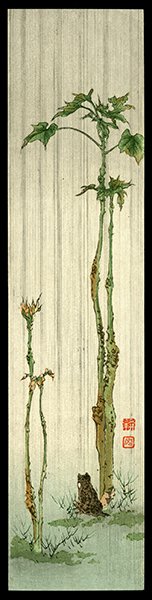 Shoda Koho Woodblock: Title: Frog in Rain Artist: Koho, Shoda Date: 20th century Medium: woodblock Dimens