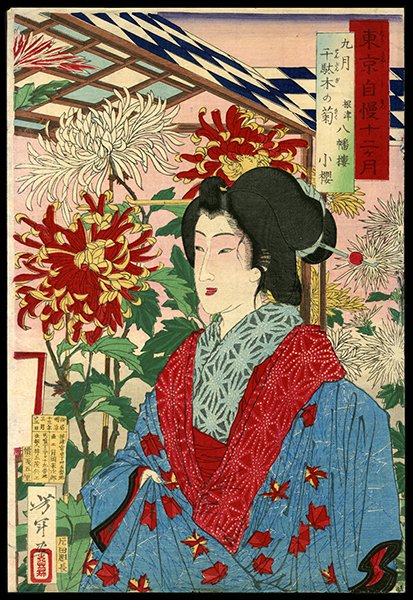 Taiso Yoshitoshi Woodblock: Title: September: Geisha by Chrysanthemums at Sendagi Artist: Yoshitoshi, Taiso, 1839-1892Series: Pride of Tokyo's Twelve Months