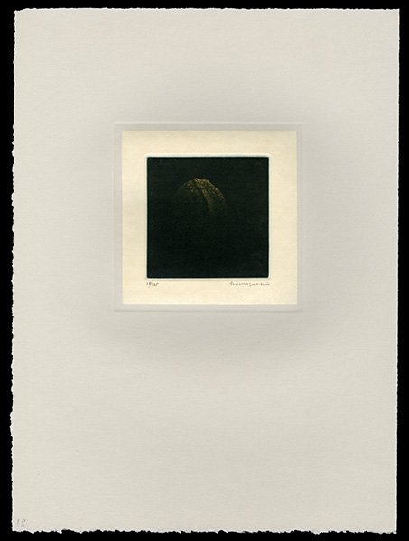 Yozo Hamaguchi Color Mezzotint: Title: Amber Walnut Artist: Hamaguchi, Yozo, 1909-2000Edition: 18/145Date: 1982-89<