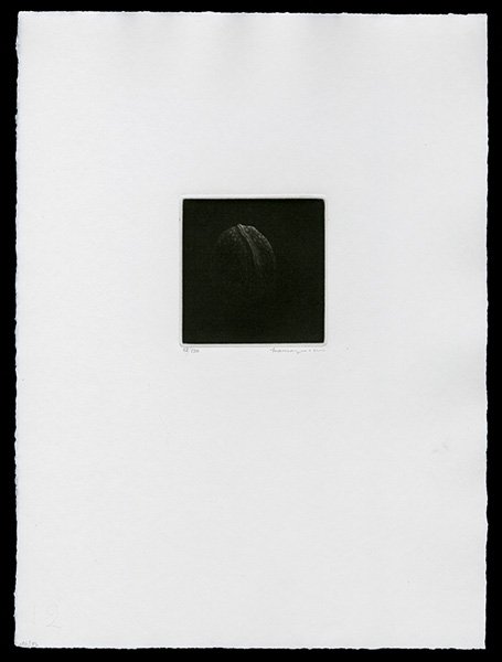 Yozo Hamaguchi Mezzotint: Title: Walnut Artist: Hamaguchi, Yozo, 1909-2000Edition: 12/145Date: 1982-89Medi