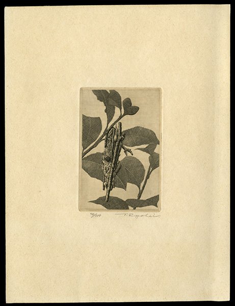 Ryohei Tanaka Etching: Title: Branch Artist: Tanaka, Ryohei, b.1933 Edition: 74/100 Date: undated Medium:<