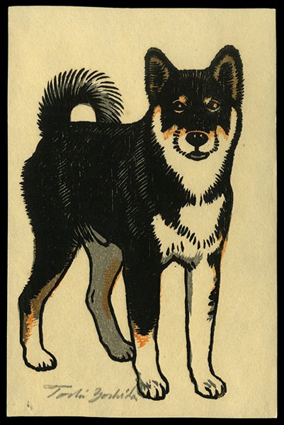 Toshi Yoshida Woodblock: Title: Monjiro (Toshi's Shiba) Artist: Yoshida, Toshi, 1911-1995Date: undatedMedium: woodblock<