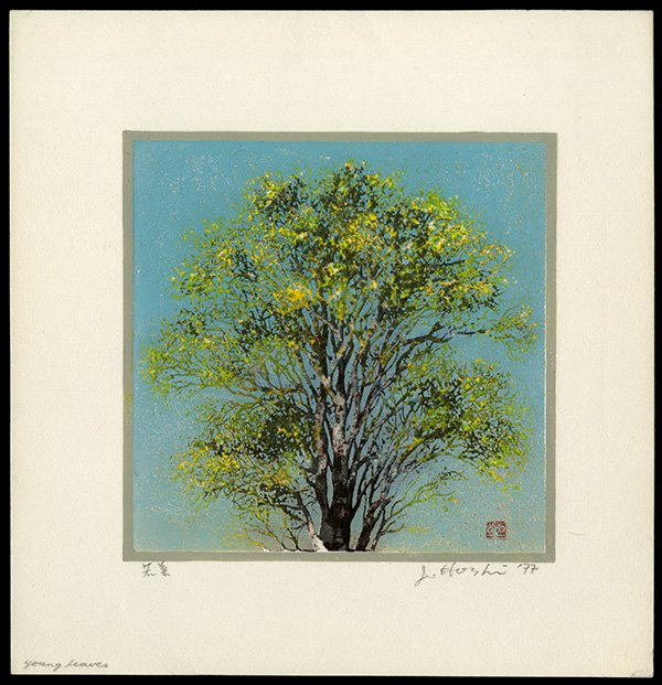 Joichi Hoshi Woodblock: Title: Young Leaves Artist: Hoshi, Joichi, 1913-1979 Date: 1977 Medium: woodblock D