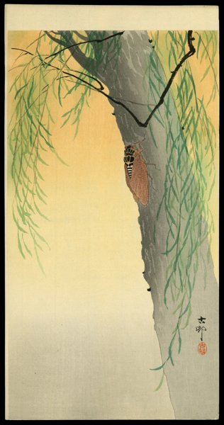 Ohara Koson Woodblock: Title: Cicada on the Trunk of a Willow Tree Artist: Ohara Koson Date: c.1910 Medium: woodblock