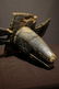 Ngombe African Stool
Prov: Alphadjo Zagamor - 10