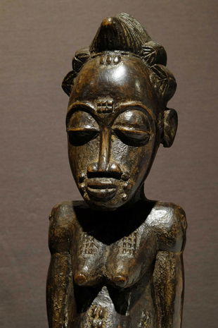 Baule female