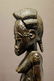 Baule female - 2