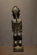 Baule female - 6