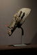 Marka Ntomo mask
Prov: Philip Budrose collection - 2