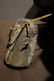 Large Songye Hermaphrodite Figure Prov: Van Caelenbergh - 6