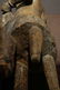 Maternity Senufo - 7