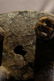 Maternity Senufo - 8