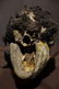 Iatmul over-modelled skullProv: Jan Kusters - 6
