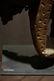 Mounted Pende Lizard House PanelProv: Jo De Buck - 6