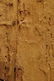 Mounted Pende Lizard House PanelProv: Jo De Buck - 8