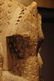 Mounted Pende Lizard House PanelProv: Jo De Buck - 9