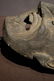 Mompa Mask, Bhutan South Tibet. - 7