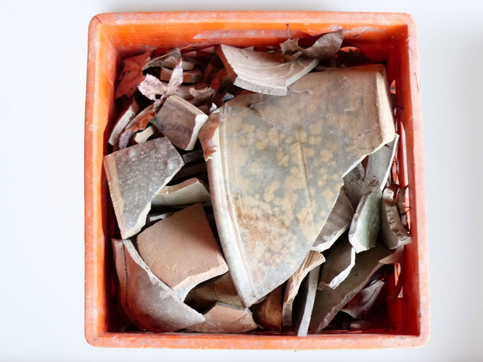 Trap & Chandler Pottery Shards: This collection features a variety of Trap & Chandler pottery shards, showcasing the intricate and diverse designs characteristic of these historical ceramic pieces. The shards indicate a range of col