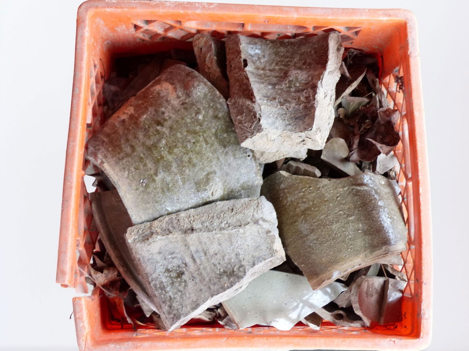 Trap & Chandler Pottery Shards (1 of 1)