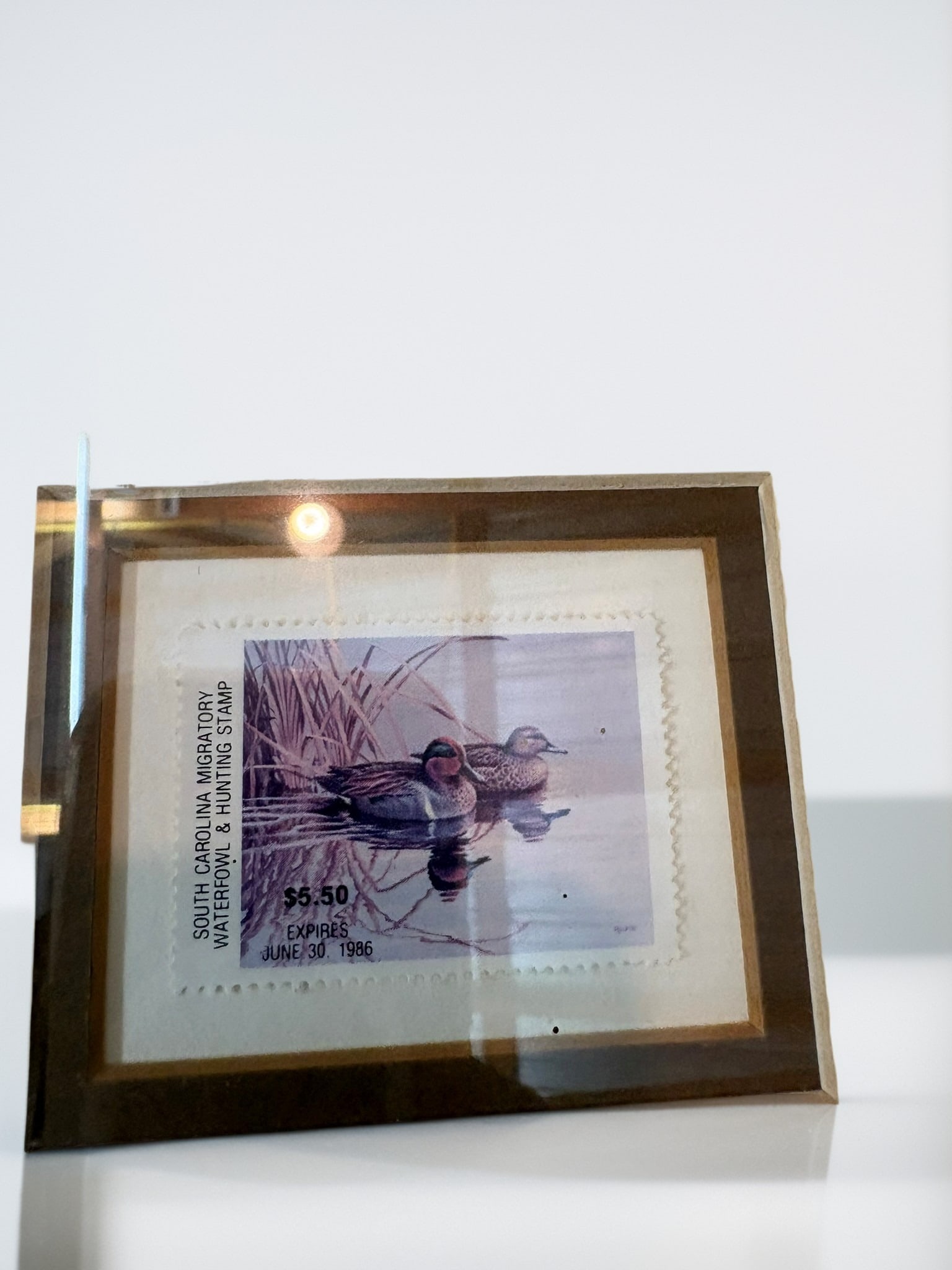 South Carolina Migratory Waterfowl Conservation Signed Limited Edition Print with Stamp: This is a professionally framed limited edition print titled South Carolina Migratory Waterfowl Hunting and Conservation by artist R. Millette. The piece features a detailed illustration of two ducks 