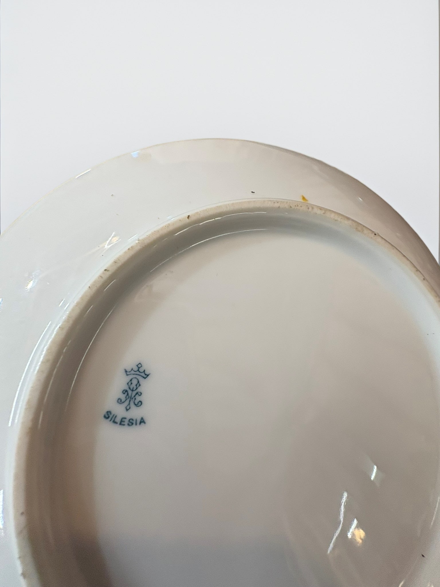 RS Tillowitz Silesia Hand-Painted Floral Saucer: This delicate saucer, manufactured by RS Tillowitz in Silesia, features a charming hand-painted floral motif set against an elegant, shaded amber-to-cream ground. The piece bears the characteristic fa