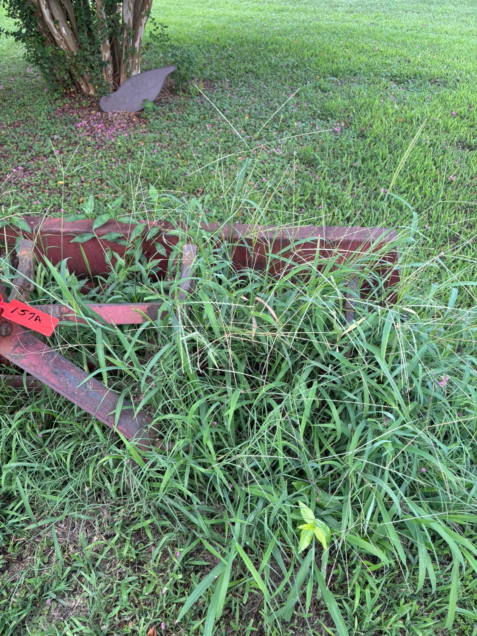 Three-Point Tractor Box Blade Scraper: A heavy-duty steel box scraper blade designed for standard three-point hitch attachment on tractors. This implement features a rigid framework with vertical scarifier teeth, ideal for land leveling,
