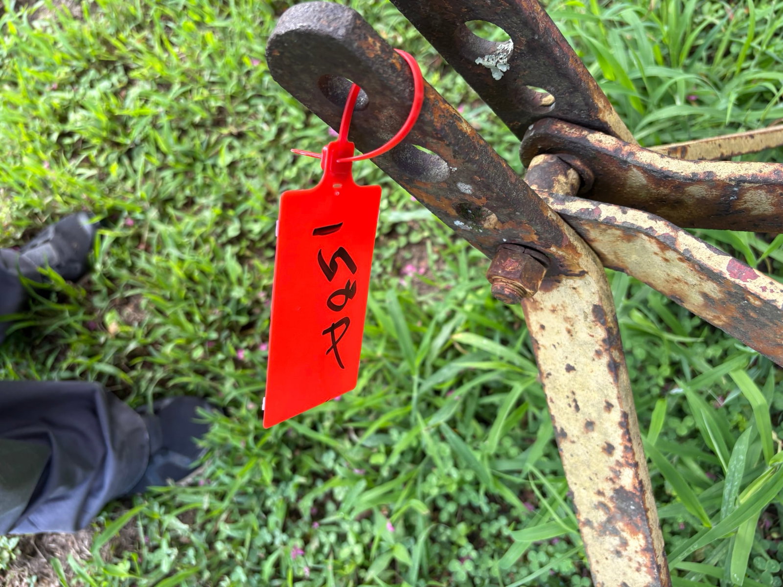 Antique Agricultural Cultivator Implement: This vintage agricultural equipment, identified as a spring-loaded cultivator attachment, features a robust steel frame designed for tillage operations. The implement retains its original metal