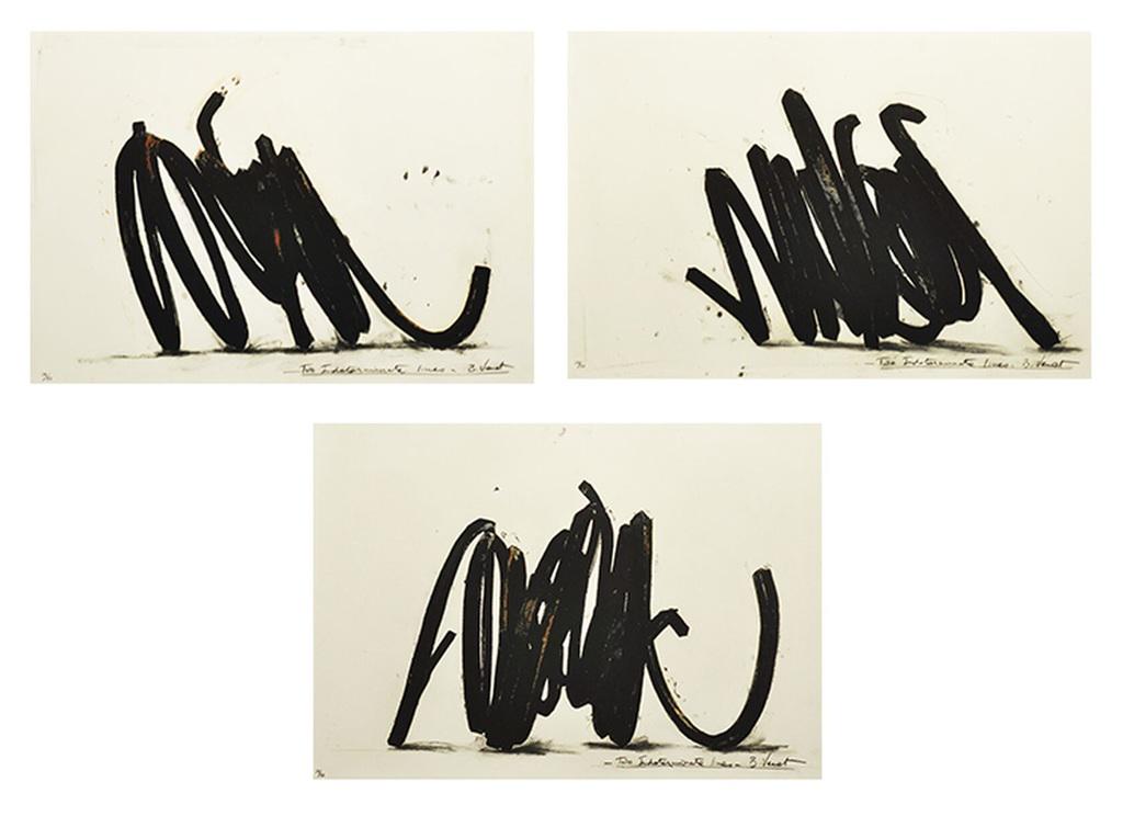 Bernar Venet - Two Indeterminate Lines: Bernar Venet - Two Indeterminate Lines_x000D_ _x000D_ 3 Original Etching on paper _x000D_ Limited Edition of 50 _x000D_ 77,5 x 100,8 cm _x000D_ Hand Signed _x000D_ 2014