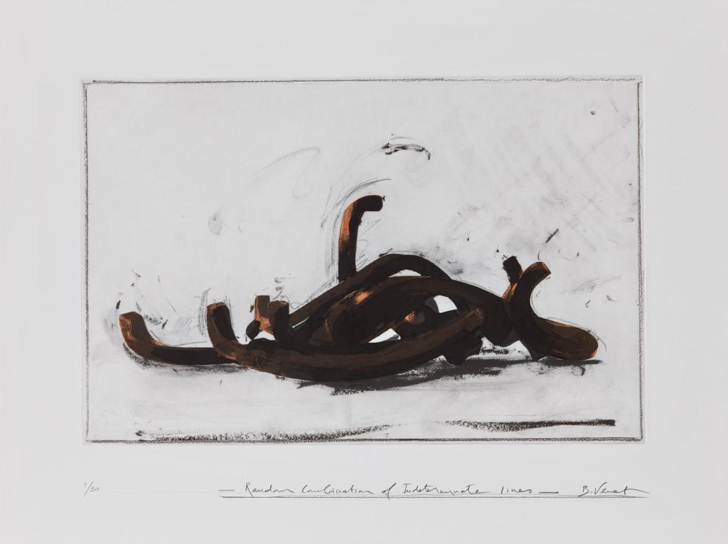 Bernar Venet - Random Combination of Indeterminate: Bernar Venet - Random Combination of Indeterminate Lines, 2019 Gravure hélio en polymère couleur avec carborundum et pointe sèche imprimée sur papier texturé Somerset blanc 41