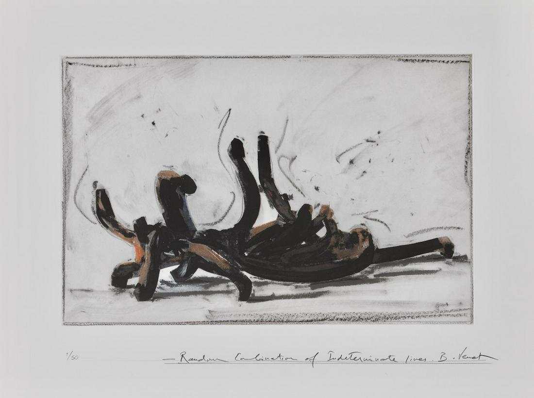 Bernar Venet - Random Combination of Indeterminate: Bernar Venet - Random Combination of Indeterminate Lines, 2019 Gravure hélio en polymère couleur avec carborundum et pointe sèche imprimée sur papier texturé Somerset blanc 41